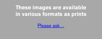 These images are available 
