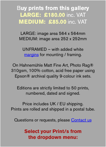 Buy prints from this gallery 