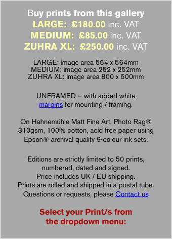 Buy prints from this gallery 