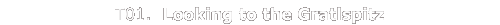 T01.  Looking to the
