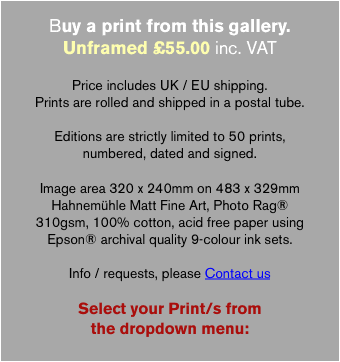 Buy a print from this