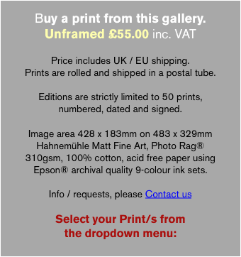 Buy a print from this